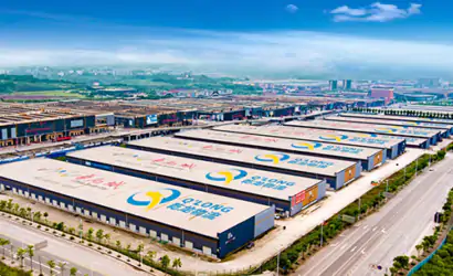 促进经济循环畅通 华南城做好“大市场”缩略图