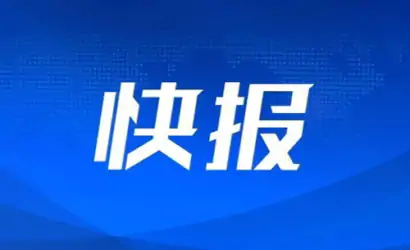 外贸进出口明显好转 广东深圳各港口货物进出口吞吐量稳步回升缩略图